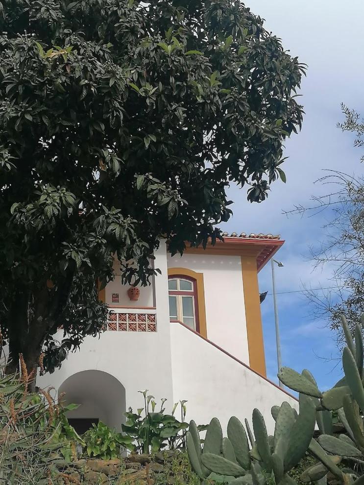 Quinta Do Americano Sardoal Exteriér fotografie
